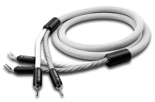 Audiomica Laboratory - Miamen Consequence