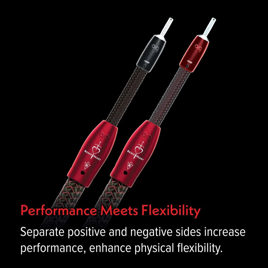 AudioQuest - Brave Heart 72V DBS